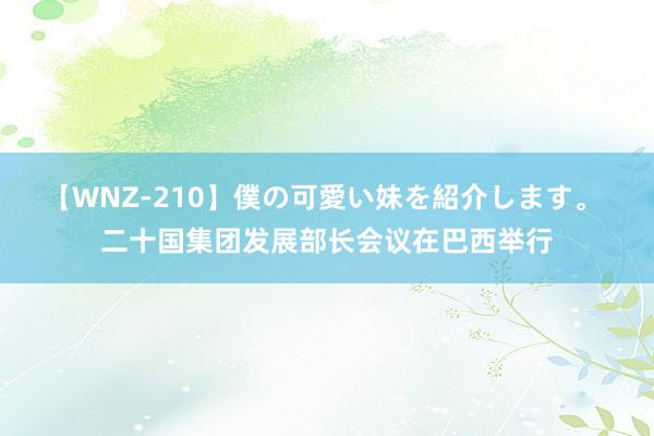 【WNZ-210】僕の可愛い妹を紹介します。 二十国集团发展部长会议在巴西举行