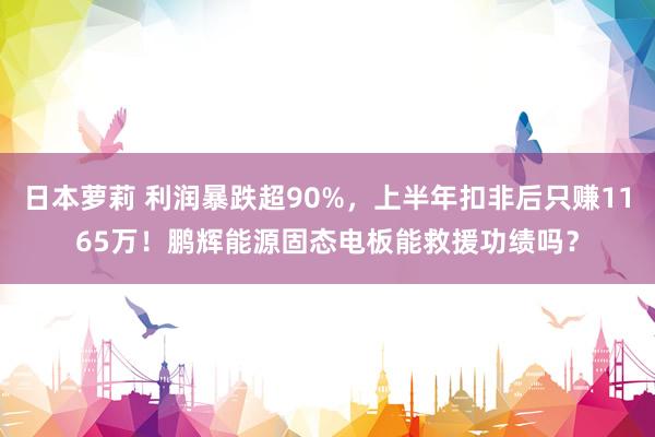 日本萝莉 利润暴跌超90%，上半年扣非后只赚1165万！鹏辉能源固态电板能救援功绩吗？